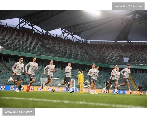 最近国际足球赛事回顾 世界杯预选赛精彩对决引发热议